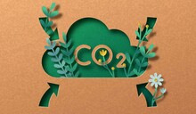 Jak można zmniejszyć ślad węglowy?